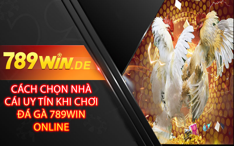 Cách chọn nhà cái uy tín khi chơi đá gà 789win online